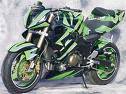 viper